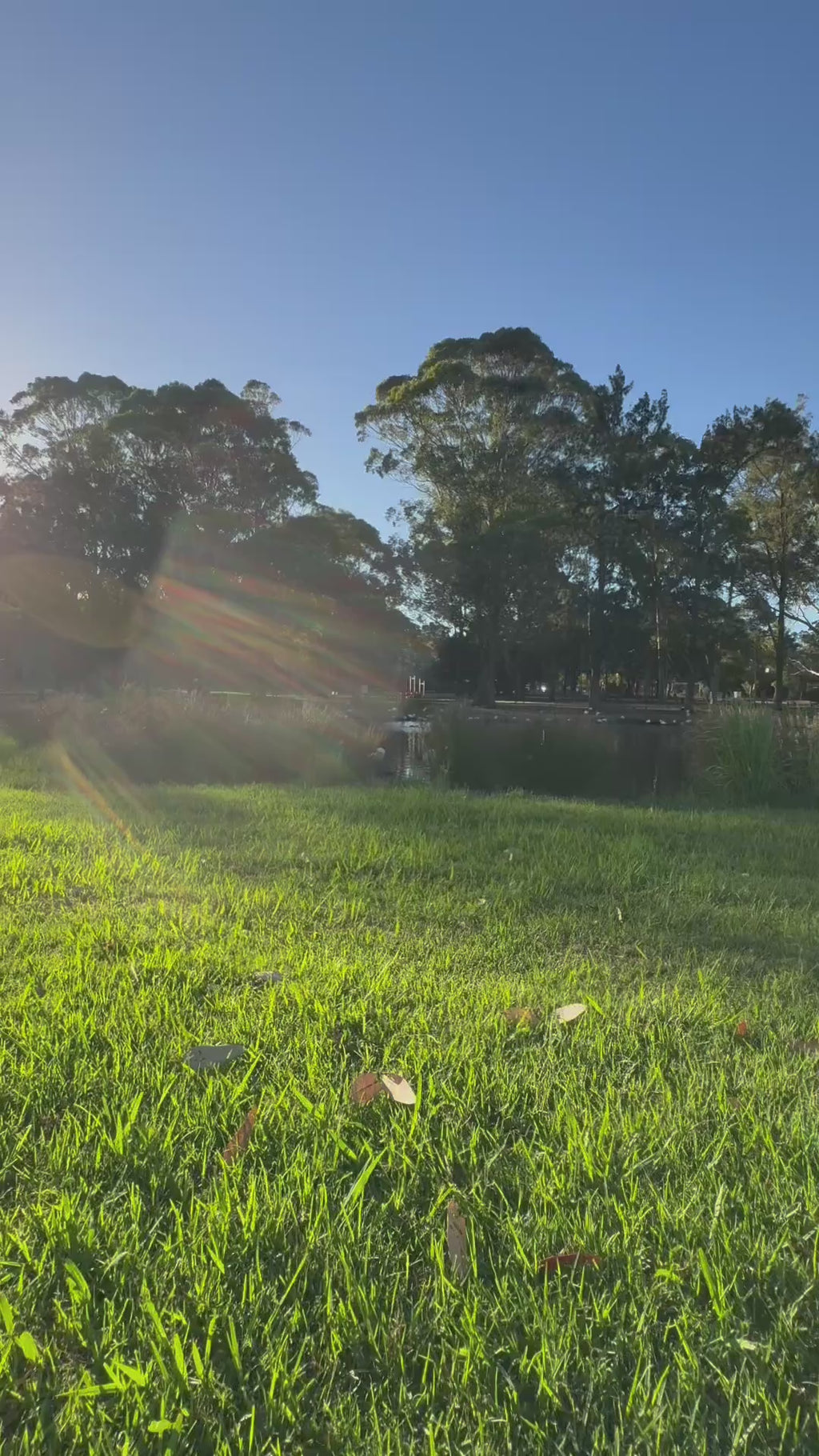 ‘Do Good’ Cotton Tote Bag